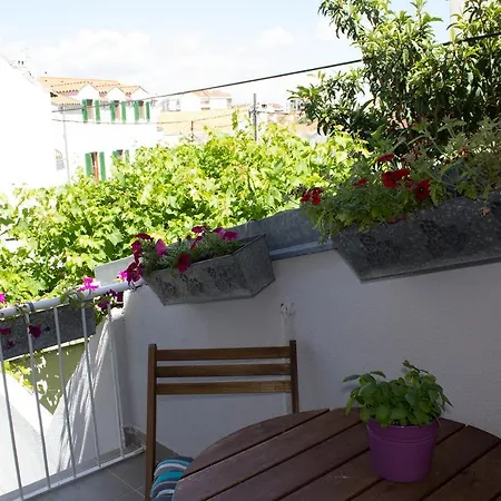 Apartman Renata Biograd Na Moru Exterior photo